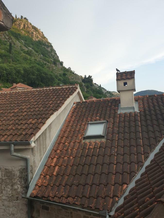 Nova Dvokrevetna Soba Sa Dva Odvojena Kreveta I Zajednickim Kupatilom Hotel Kotor Ngoại thất bức ảnh